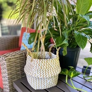 Small Seagrass basket- storage/ plants